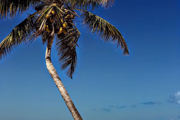 Mujeres Beach near Secrets Playa Blanca Costa Mujeres with pristine white sand and turquoise Caribbean waters